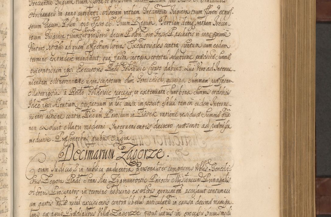 Zdjęcie nr 244 dla obiektu archiwalnego: Acta actorum episcopalium R. D. Andreae Trzebicki ab anno 1670 ad annum 1675 mensem Martinum acticatorum Volumen V