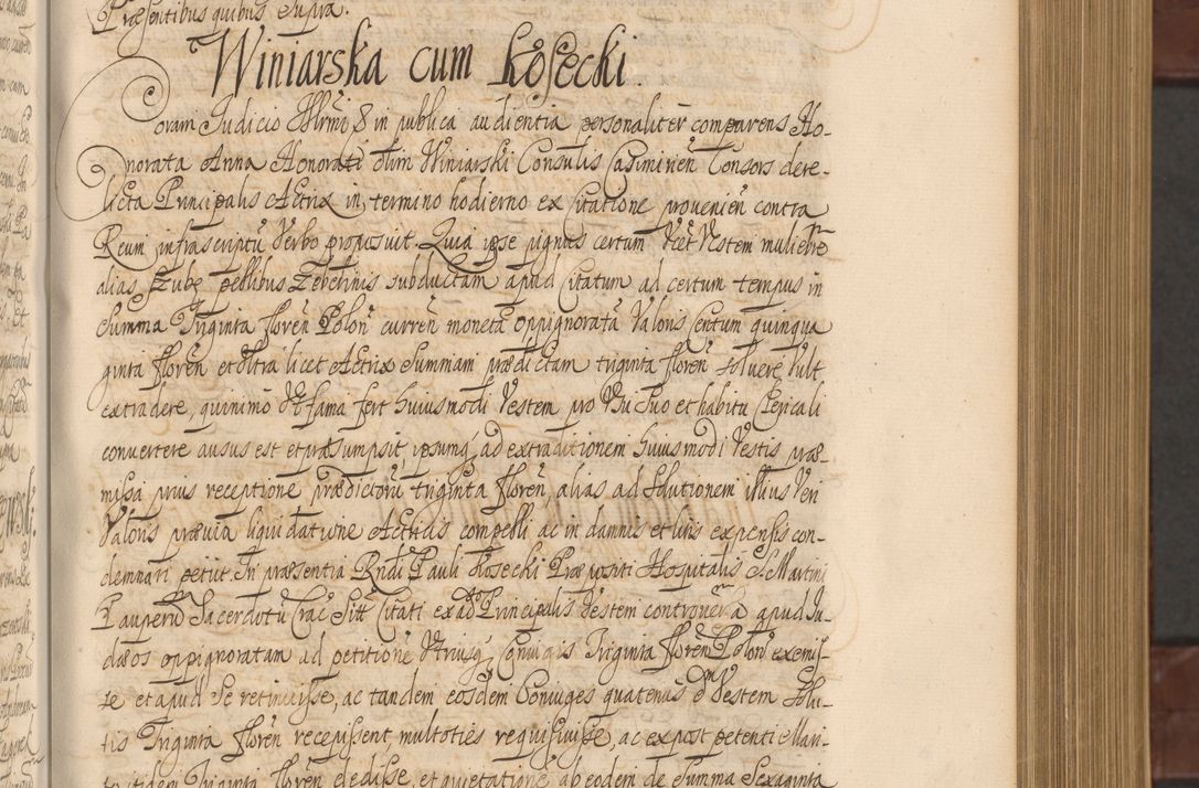 Zdjęcie nr 212 dla obiektu archiwalnego: Acta actorum episcopalium R. D. Andreae Trzebicki ab anno 1670 ad annum 1675 mensem Martinum acticatorum Volumen V