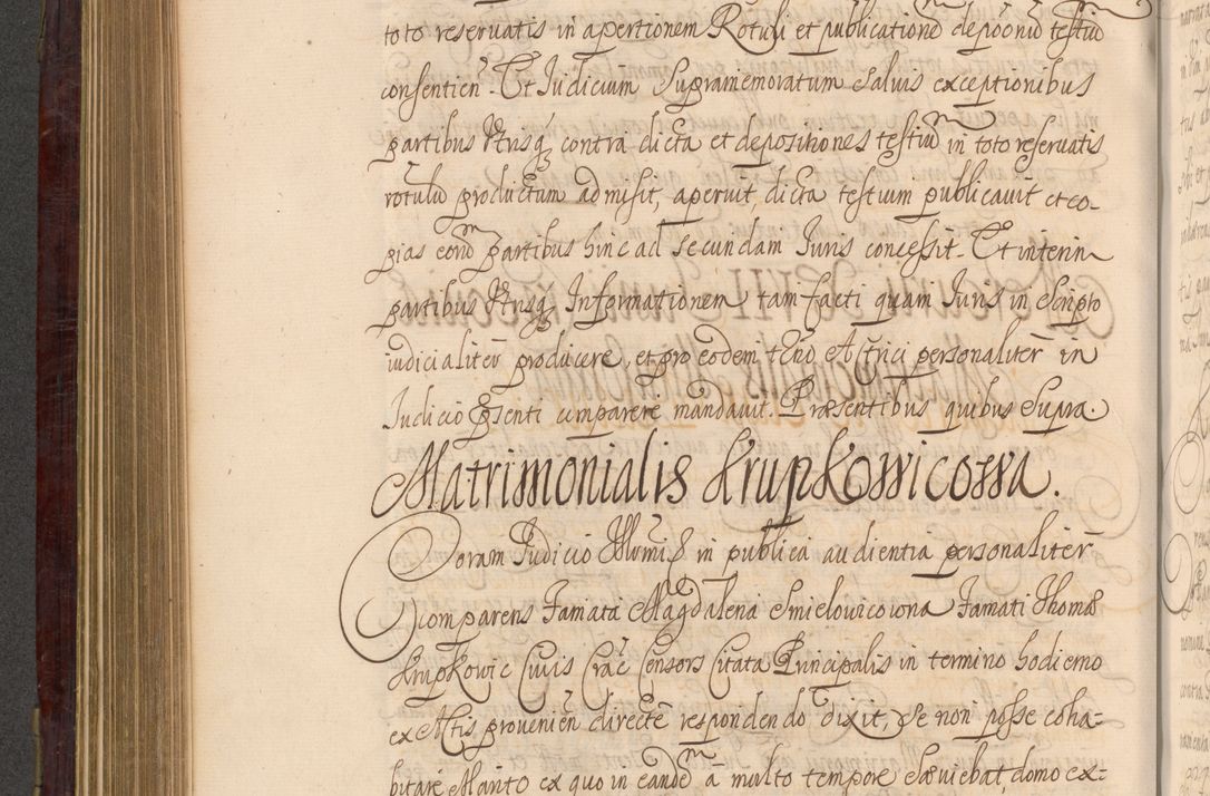 Zdjęcie nr 515 dla obiektu archiwalnego: Acta actorum episcopalium R. D. Andreae Trzebicki ab anno 1670 ad annum 1675 mensem Martinum acticatorum Volumen V