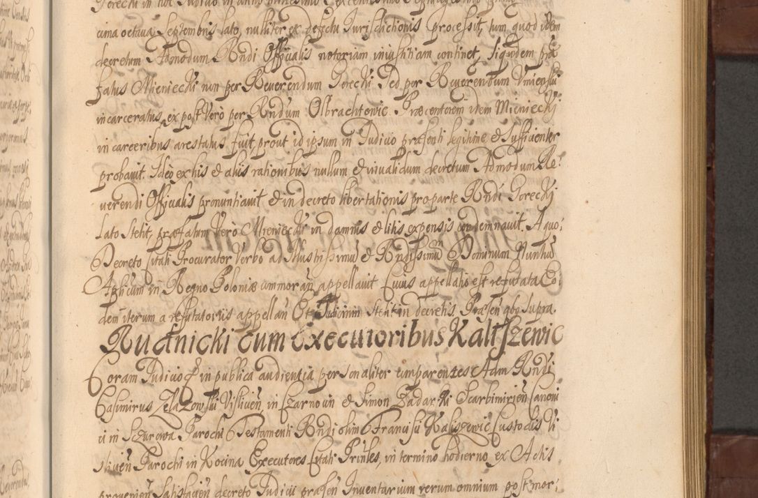 Zdjęcie nr 866 dla obiektu archiwalnego: Acta actorum episcopalium R. D. Andreae Trzebicki ab anno 1670 ad annum 1675 mensem Martinum acticatorum Volumen V