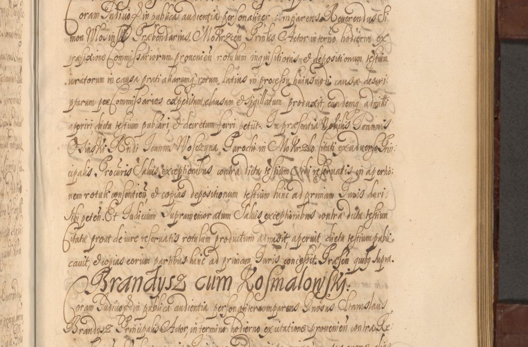 Zdjęcie nr 846 dla obiektu archiwalnego: Acta actorum episcopalium R. D. Andreae Trzebicki ab anno 1670 ad annum 1675 mensem Martinum acticatorum Volumen V