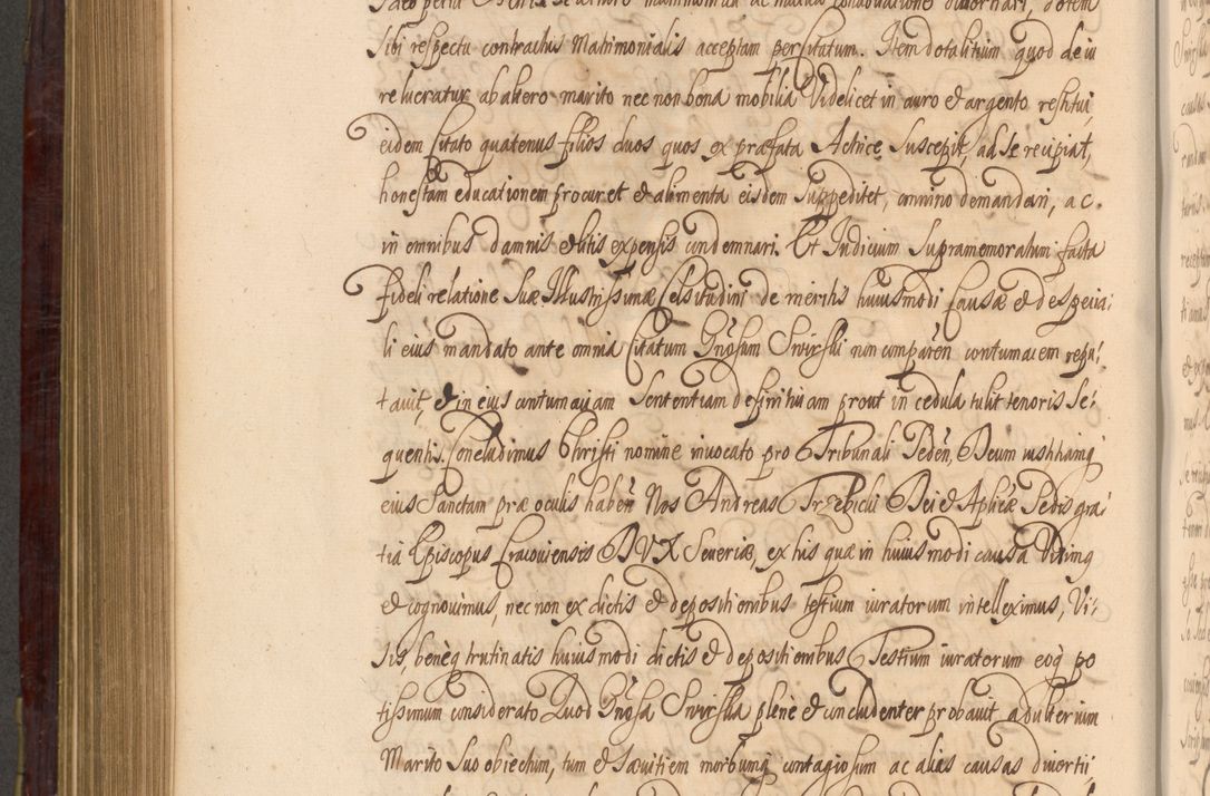 Zdjęcie nr 811 dla obiektu archiwalnego: Acta actorum episcopalium R. D. Andreae Trzebicki ab anno 1670 ad annum 1675 mensem Martinum acticatorum Volumen V