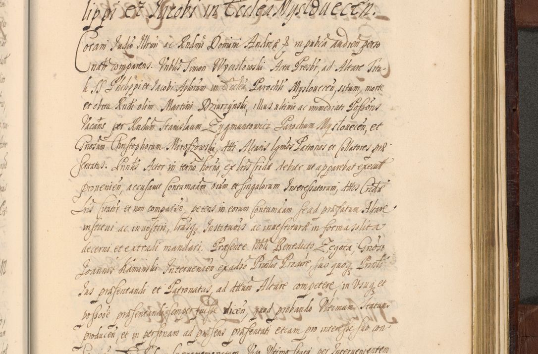 Zdjęcie nr 1536 dla obiektu archiwalnego: Acta actorum episcopalium R. D. Andreae Trzebicki ab anno 1670 ad annum 1675 mensem Martinum acticatorum Volumen V