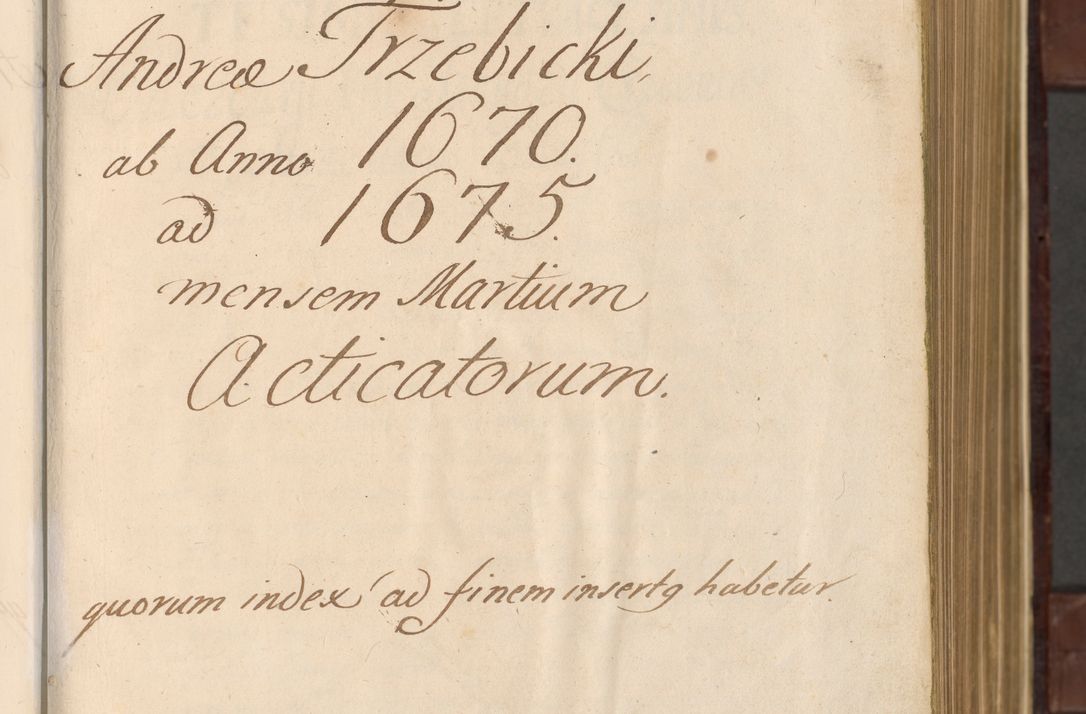 Zdjęcie nr 6 dla obiektu archiwalnego: Acta actorum episcopalium R. D. Andreae Trzebicki ab anno 1670 ad annum 1675 mensem Martinum acticatorum Volumen V