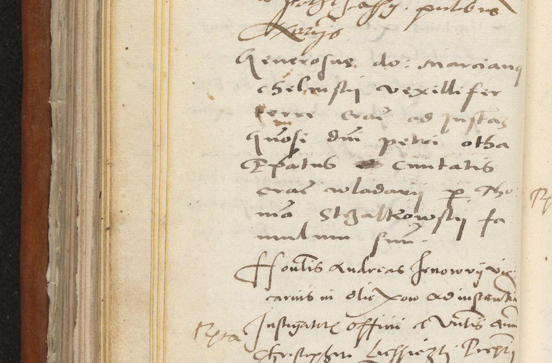 Zdjęcie nr 203 dla obiektu archiwalnego: Acta constitucionum coram reverendo patre domino Paulo Crassowski Warschoviensi et Omnium Sanctorum in Cracovia praeposito et officiali generali Craccoviensi ad annum Domini 1545, a die et mense infrascriptis foeliciter continuantur