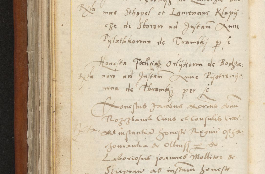 Zdjęcie nr 197 dla obiektu archiwalnego: Acta constitucionum coram reverendo patre domino Paulo Crassowski Warschoviensi et Omnium Sanctorum in Cracovia praeposito et officiali generali Craccoviensi ad annum Domini 1545, a die et mense infrascriptis foeliciter continuantur