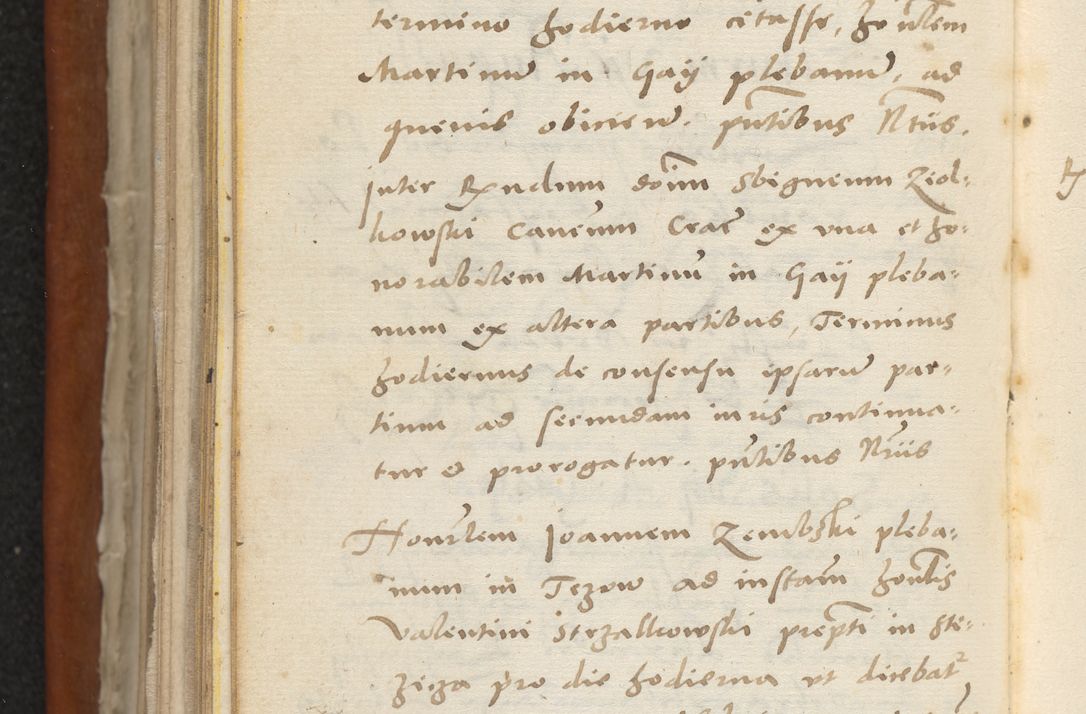 Zdjęcie nr 191 dla obiektu archiwalnego: Acta constitucionum coram reverendo patre domino Paulo Crassowski Warschoviensi et Omnium Sanctorum in Cracovia praeposito et officiali generali Craccoviensi ad annum Domini 1545, a die et mense infrascriptis foeliciter continuantur