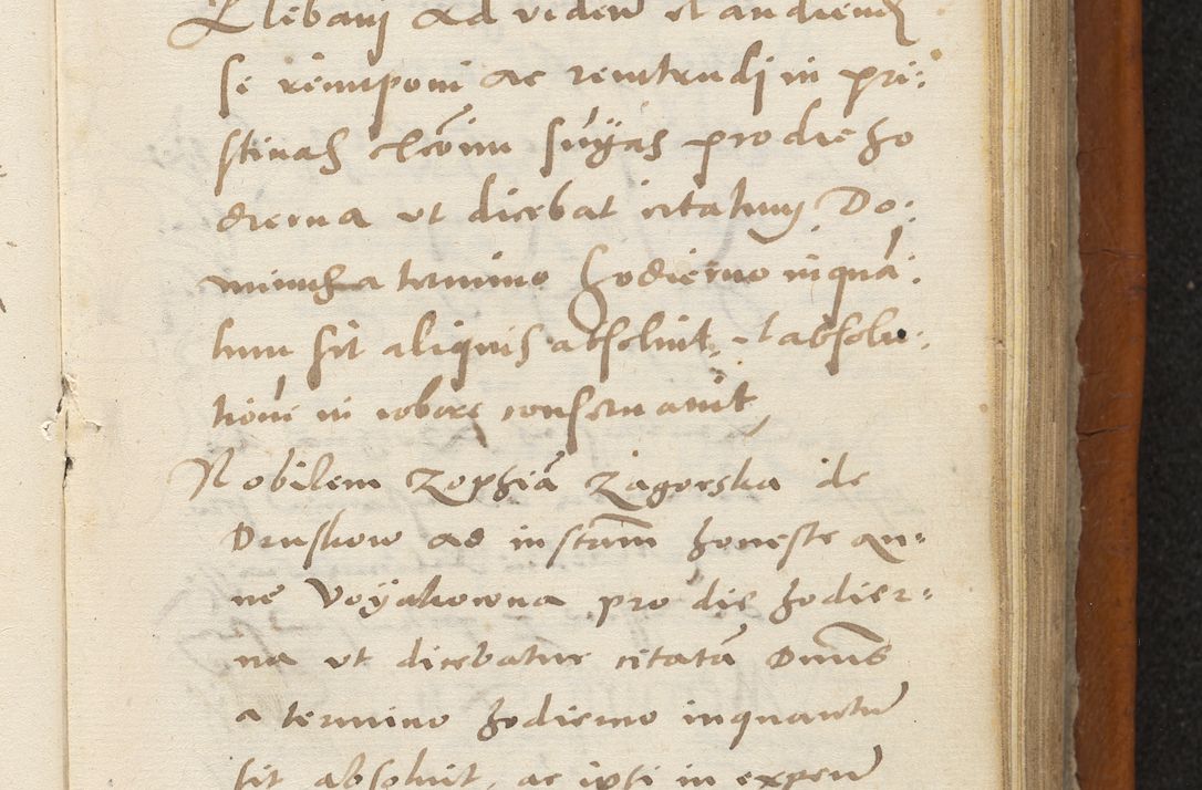Zdjęcie nr 188 dla obiektu archiwalnego: Acta constitucionum coram reverendo patre domino Paulo Crassowski Warschoviensi et Omnium Sanctorum in Cracovia praeposito et officiali generali Craccoviensi ad annum Domini 1545, a die et mense infrascriptis foeliciter continuantur