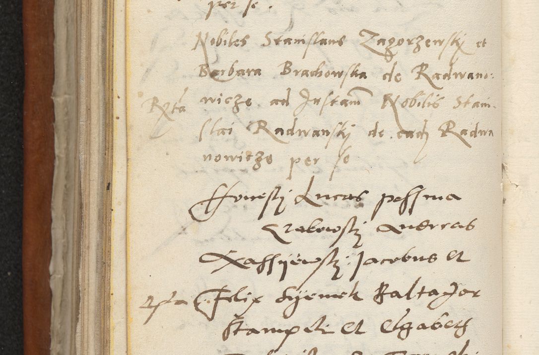 Zdjęcie nr 187 dla obiektu archiwalnego: Acta constitucionum coram reverendo patre domino Paulo Crassowski Warschoviensi et Omnium Sanctorum in Cracovia praeposito et officiali generali Craccoviensi ad annum Domini 1545, a die et mense infrascriptis foeliciter continuantur