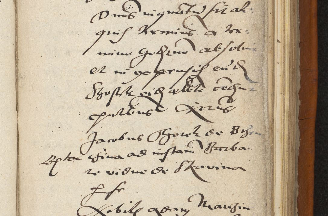 Zdjęcie nr 162 dla obiektu archiwalnego: Acta constitucionum coram reverendo patre domino Paulo Crassowski Warschoviensi et Omnium Sanctorum in Cracovia praeposito et officiali generali Craccoviensi ad annum Domini 1545, a die et mense infrascriptis foeliciter continuantur