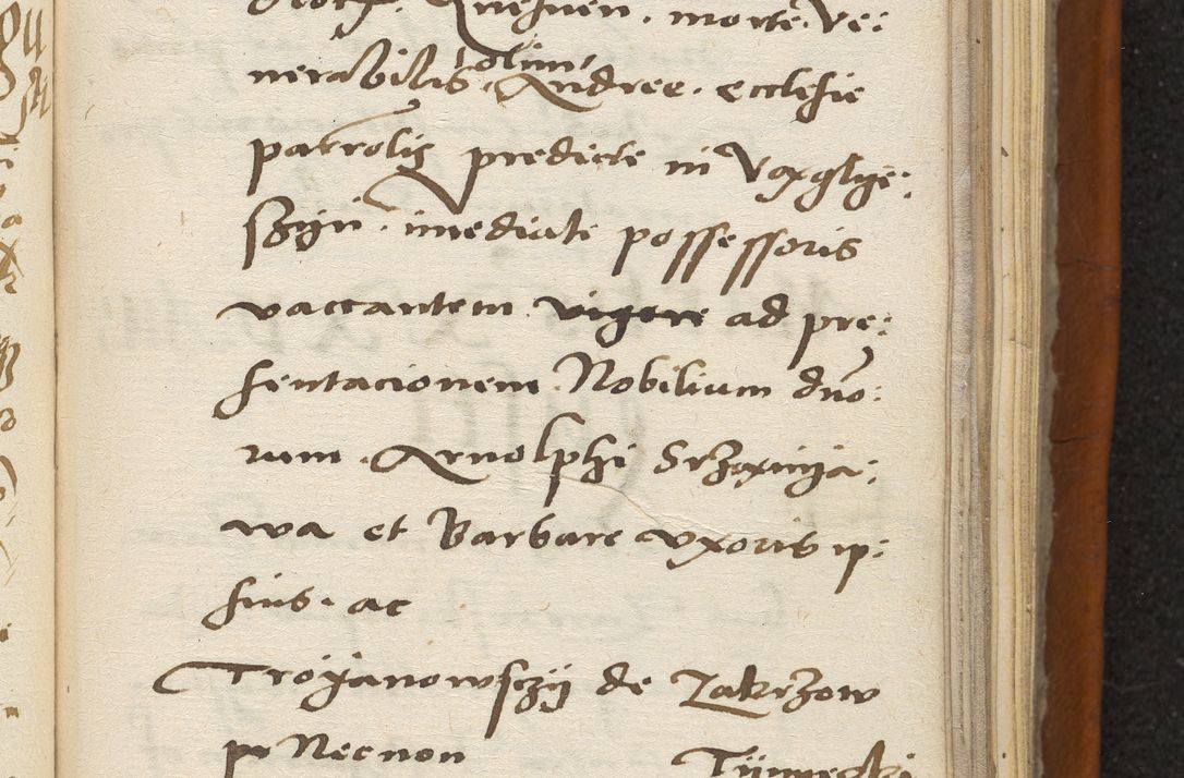 Zdjęcie nr 146 dla obiektu archiwalnego: Acta constitucionum coram reverendo patre domino Paulo Crassowski Warschoviensi et Omnium Sanctorum in Cracovia praeposito et officiali generali Craccoviensi ad annum Domini 1545, a die et mense infrascriptis foeliciter continuantur