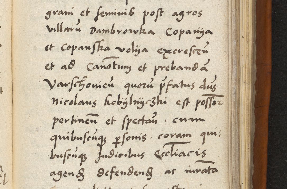 Zdjęcie nr 142 dla obiektu archiwalnego: Acta constitucionum coram reverendo patre domino Paulo Crassowski Warschoviensi et Omnium Sanctorum in Cracovia praeposito et officiali generali Craccoviensi ad annum Domini 1545, a die et mense infrascriptis foeliciter continuantur