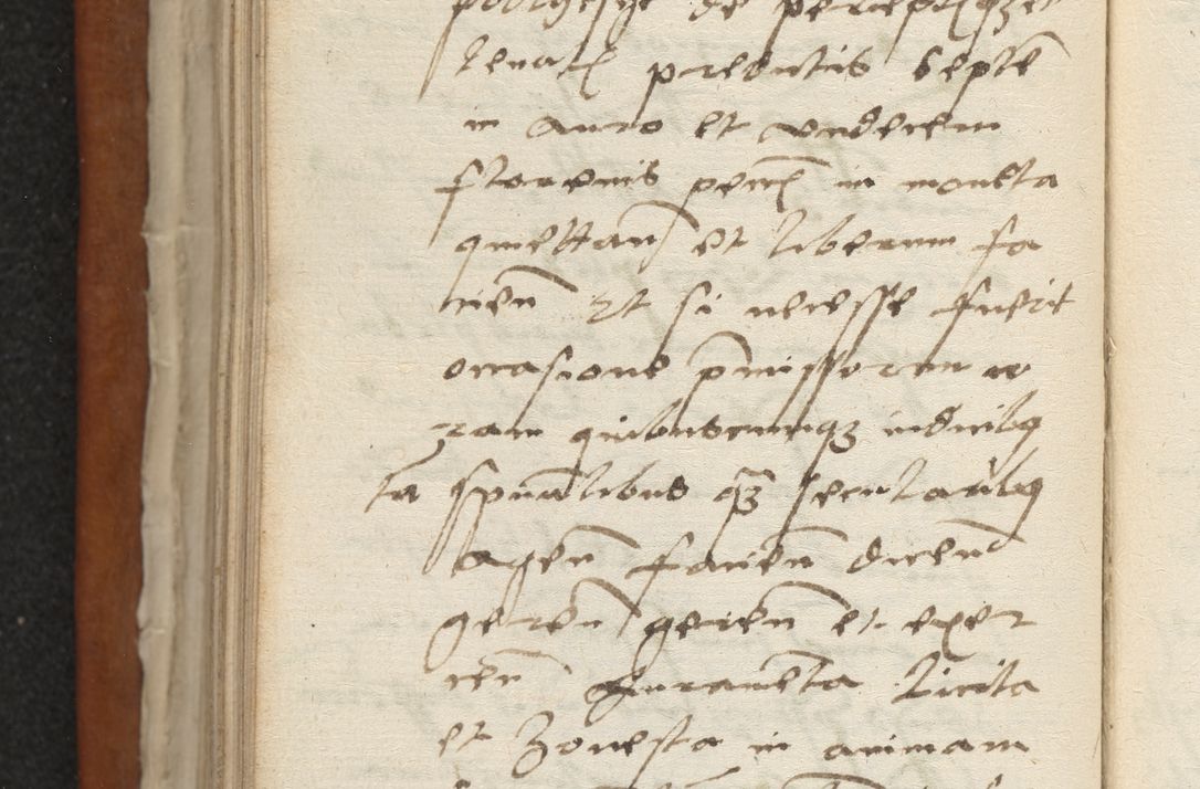 Zdjęcie nr 137 dla obiektu archiwalnego: Acta constitucionum coram reverendo patre domino Paulo Crassowski Warschoviensi et Omnium Sanctorum in Cracovia praeposito et officiali generali Craccoviensi ad annum Domini 1545, a die et mense infrascriptis foeliciter continuantur