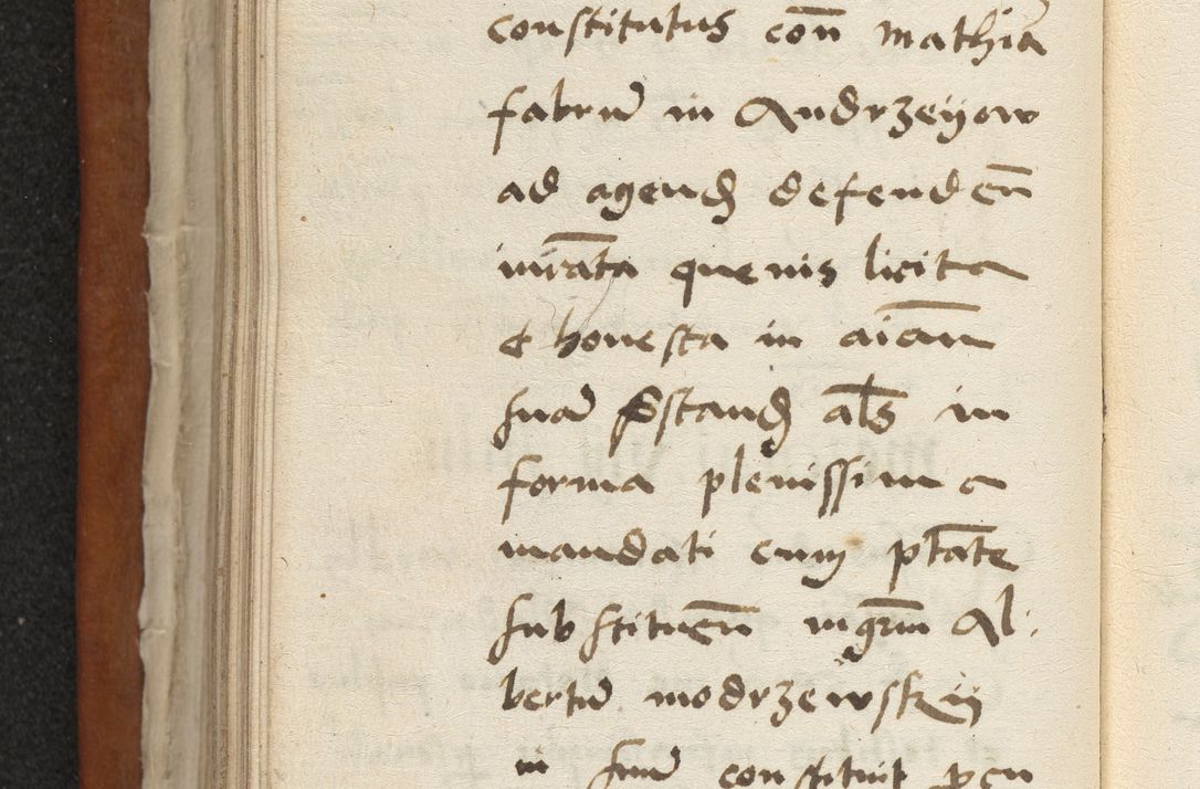 Zdjęcie nr 133 dla obiektu archiwalnego: Acta constitucionum coram reverendo patre domino Paulo Crassowski Warschoviensi et Omnium Sanctorum in Cracovia praeposito et officiali generali Craccoviensi ad annum Domini 1545, a die et mense infrascriptis foeliciter continuantur