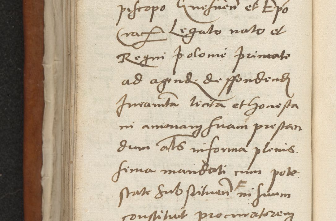 Zdjęcie nr 105 dla obiektu archiwalnego: Acta constitucionum coram reverendo patre domino Paulo Crassowski Warschoviensi et Omnium Sanctorum in Cracovia praeposito et officiali generali Craccoviensi ad annum Domini 1545, a die et mense infrascriptis foeliciter continuantur
