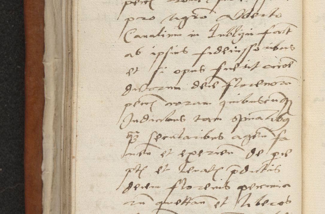 Zdjęcie nr 99 dla obiektu archiwalnego: Acta constitucionum coram reverendo patre domino Paulo Crassowski Warschoviensi et Omnium Sanctorum in Cracovia praeposito et officiali generali Craccoviensi ad annum Domini 1545, a die et mense infrascriptis foeliciter continuantur