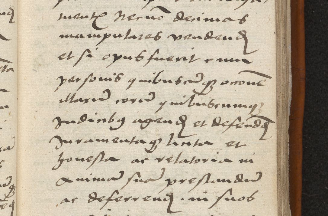 Zdjęcie nr 52 dla obiektu archiwalnego: Acta constitucionum coram reverendo patre domino Paulo Crassowski Warschoviensi et Omnium Sanctorum in Cracovia praeposito et officiali generali Craccoviensi ad annum Domini 1545, a die et mense infrascriptis foeliciter continuantur