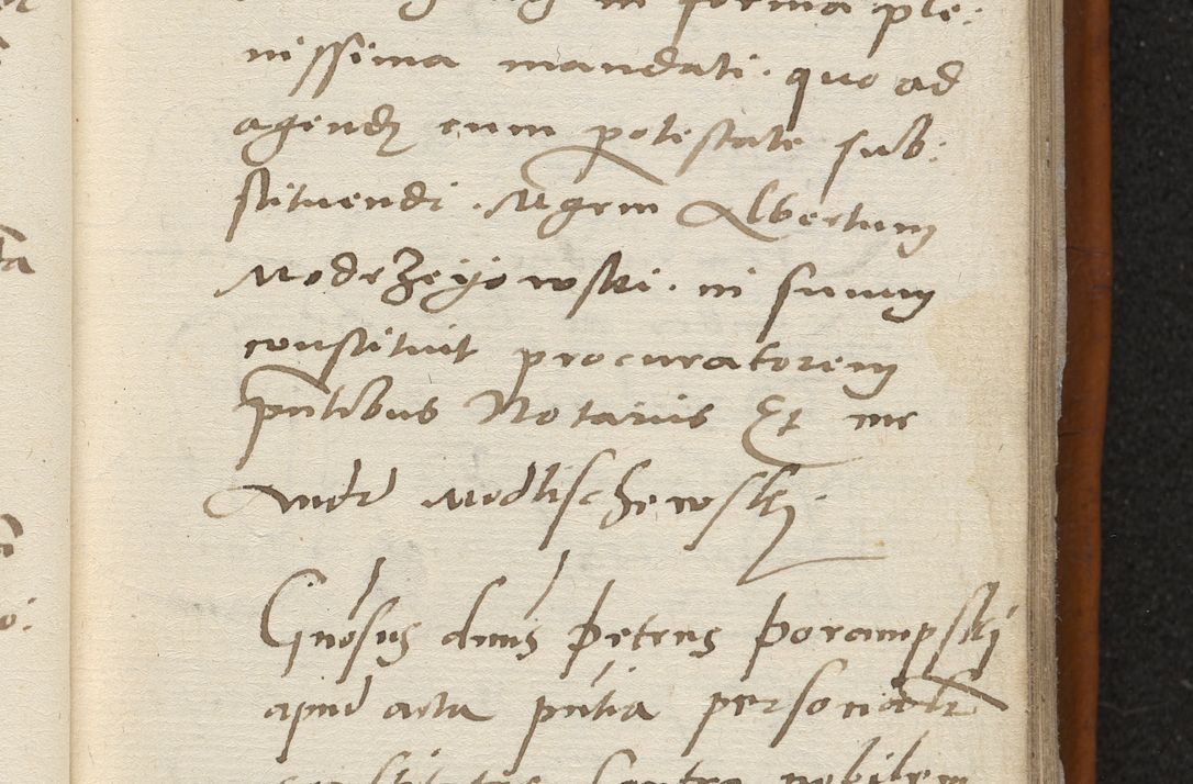 Zdjęcie nr 46 dla obiektu archiwalnego: Acta constitucionum coram reverendo patre domino Paulo Crassowski Warschoviensi et Omnium Sanctorum in Cracovia praeposito et officiali generali Craccoviensi ad annum Domini 1545, a die et mense infrascriptis foeliciter continuantur