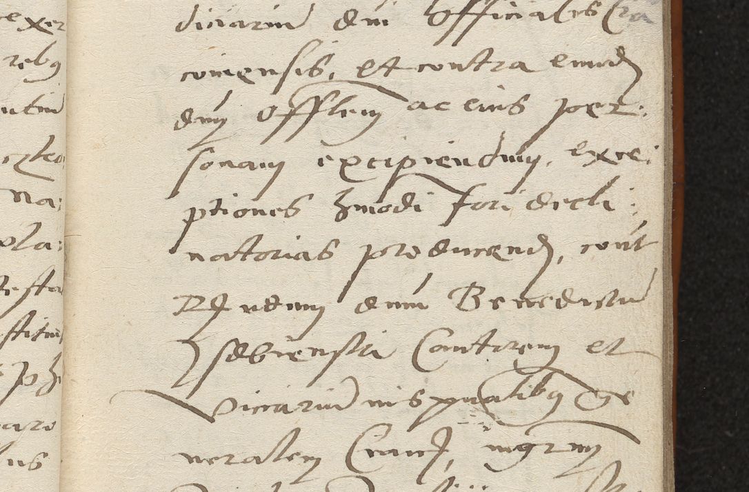 Zdjęcie nr 34 dla obiektu archiwalnego: Acta constitucionum coram reverendo patre domino Paulo Crassowski Warschoviensi et Omnium Sanctorum in Cracovia praeposito et officiali generali Craccoviensi ad annum Domini 1545, a die et mense infrascriptis foeliciter continuantur