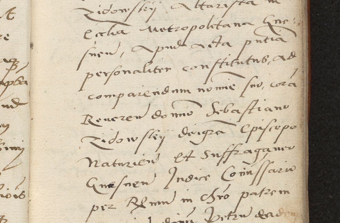 Zdjęcie nr 22 dla obiektu archiwalnego: Acta constitucionum coram reverendo patre domino Paulo Crassowski Warschoviensi et Omnium Sanctorum in Cracovia praeposito et officiali generali Craccoviensi ad annum Domini 1545, a die et mense infrascriptis foeliciter continuantur