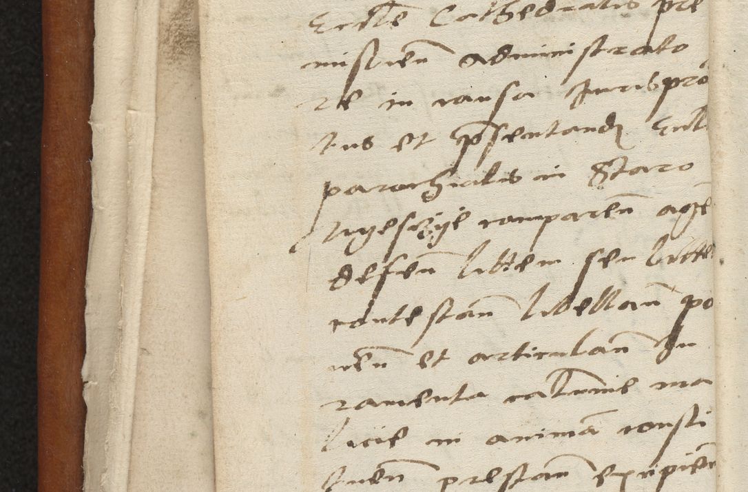 Zdjęcie nr 17 dla obiektu archiwalnego: Acta constitucionum coram reverendo patre domino Paulo Crassowski Warschoviensi et Omnium Sanctorum in Cracovia praeposito et officiali generali Craccoviensi ad annum Domini 1545, a die et mense infrascriptis foeliciter continuantur