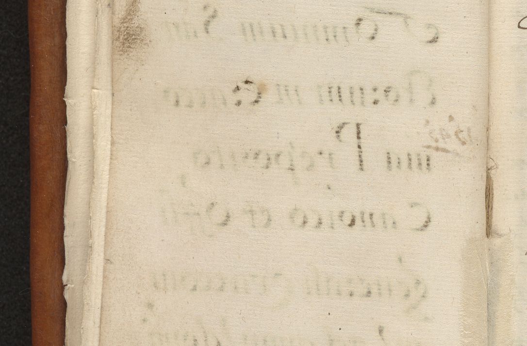 Zdjęcie nr 13 dla obiektu archiwalnego: Acta constitucionum coram reverendo patre domino Paulo Crassowski Warschoviensi et Omnium Sanctorum in Cracovia praeposito et officiali generali Craccoviensi ad annum Domini 1545, a die et mense infrascriptis foeliciter continuantur