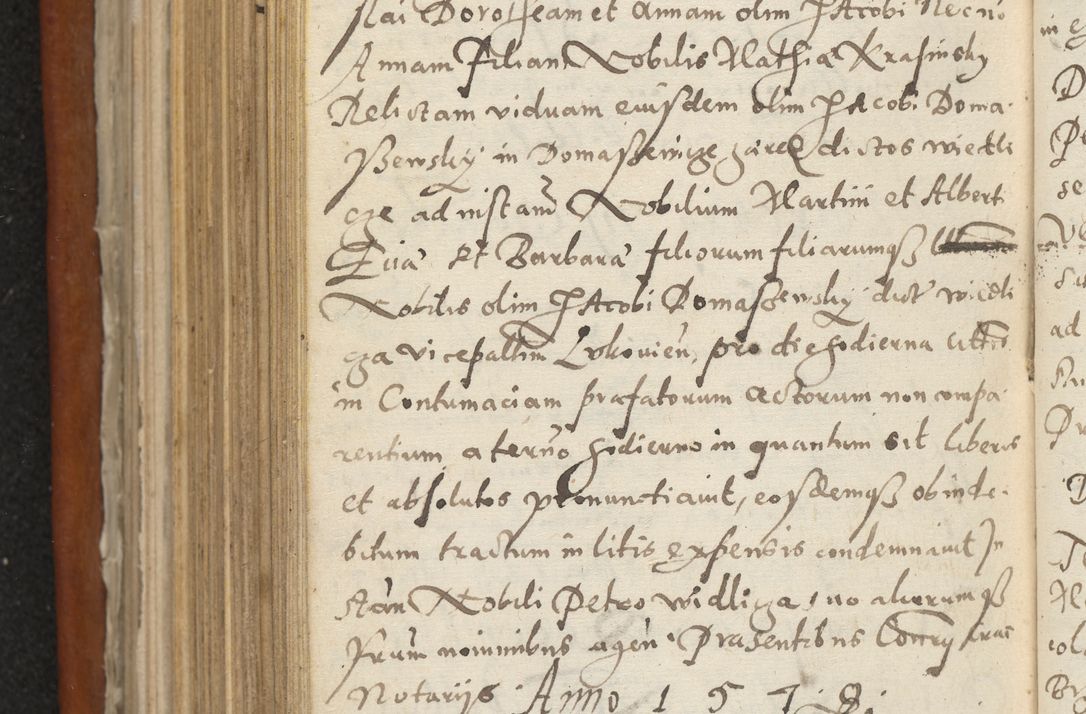 Zdjęcie nr 479 dla obiektu archiwalnego: Acta constitucionum coram reverendo patre domino Paulo Crassowski Warschoviensi et Omnium Sanctorum in Cracovia praeposito et officiali generali Craccoviensi ad annum Domini 1545, a die et mense infrascriptis foeliciter continuantur