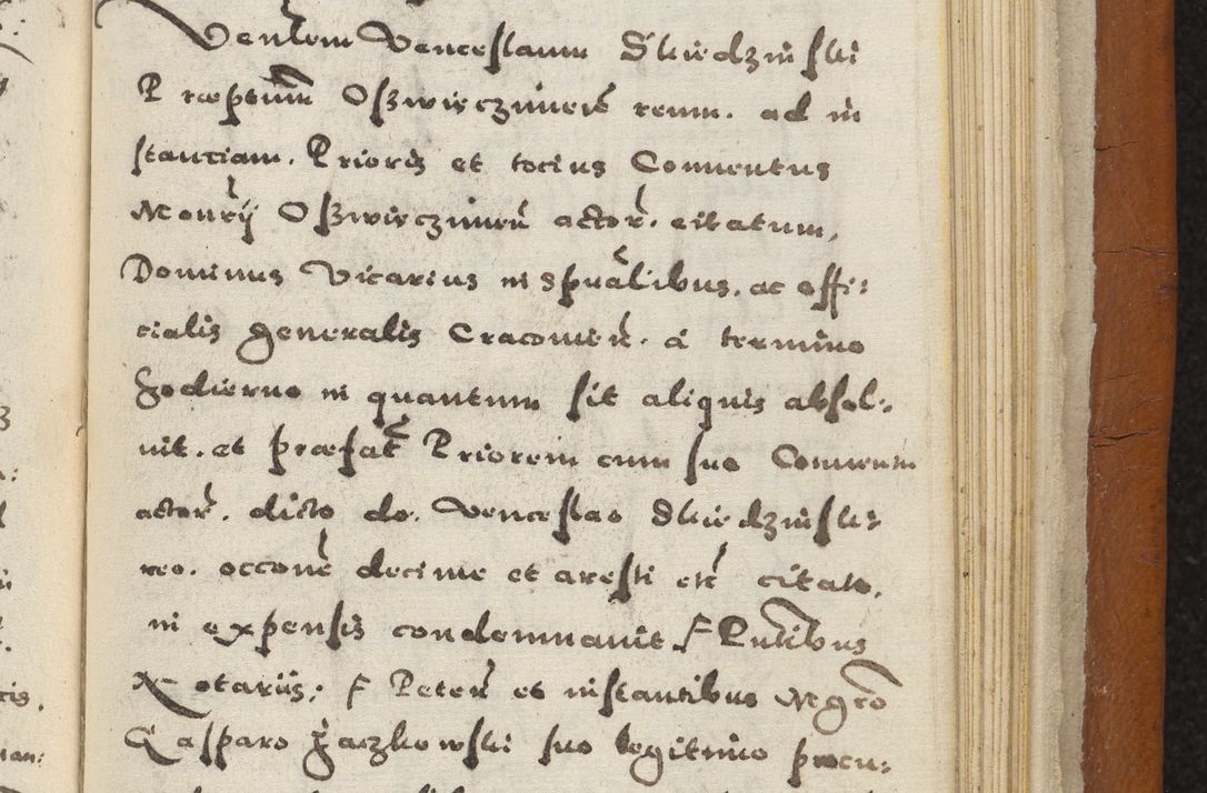 Zdjęcie nr 454 dla obiektu archiwalnego: Acta constitucionum coram reverendo patre domino Paulo Crassowski Warschoviensi et Omnium Sanctorum in Cracovia praeposito et officiali generali Craccoviensi ad annum Domini 1545, a die et mense infrascriptis foeliciter continuantur