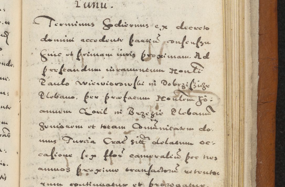 Zdjęcie nr 452 dla obiektu archiwalnego: Acta constitucionum coram reverendo patre domino Paulo Crassowski Warschoviensi et Omnium Sanctorum in Cracovia praeposito et officiali generali Craccoviensi ad annum Domini 1545, a die et mense infrascriptis foeliciter continuantur