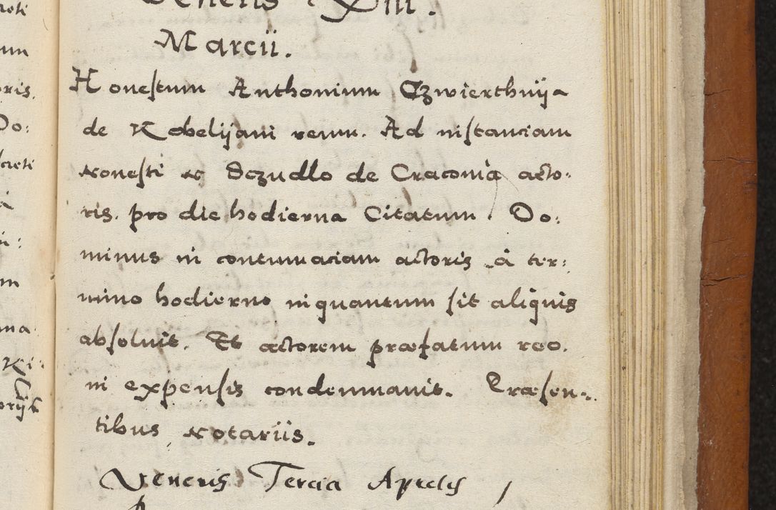 Zdjęcie nr 450 dla obiektu archiwalnego: Acta constitucionum coram reverendo patre domino Paulo Crassowski Warschoviensi et Omnium Sanctorum in Cracovia praeposito et officiali generali Craccoviensi ad annum Domini 1545, a die et mense infrascriptis foeliciter continuantur