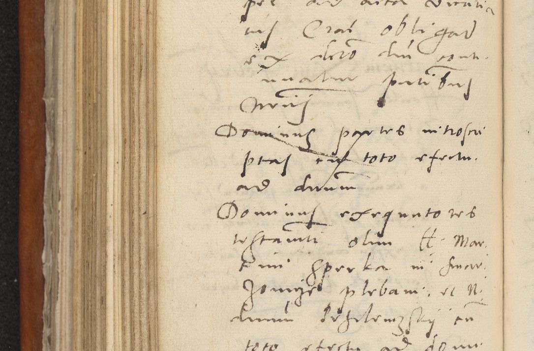 Zdjęcie nr 401 dla obiektu archiwalnego: Acta constitucionum coram reverendo patre domino Paulo Crassowski Warschoviensi et Omnium Sanctorum in Cracovia praeposito et officiali generali Craccoviensi ad annum Domini 1545, a die et mense infrascriptis foeliciter continuantur
