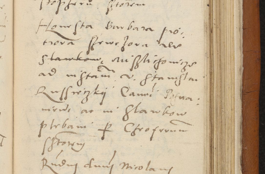 Zdjęcie nr 392 dla obiektu archiwalnego: Acta constitucionum coram reverendo patre domino Paulo Crassowski Warschoviensi et Omnium Sanctorum in Cracovia praeposito et officiali generali Craccoviensi ad annum Domini 1545, a die et mense infrascriptis foeliciter continuantur