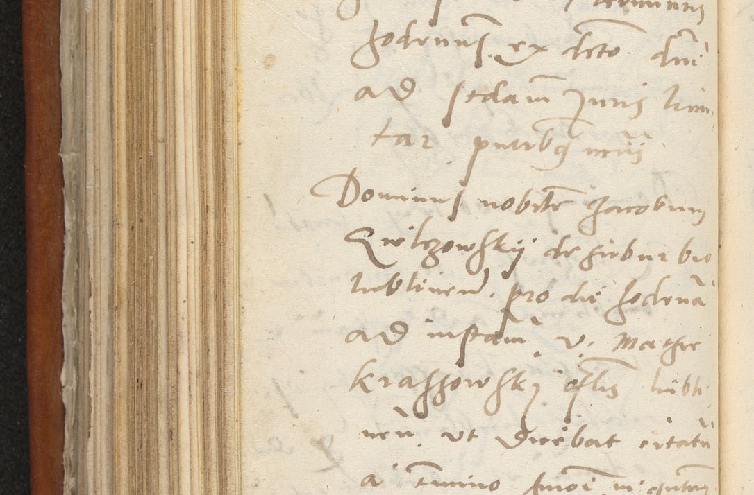 Zdjęcie nr 375 dla obiektu archiwalnego: Acta constitucionum coram reverendo patre domino Paulo Crassowski Warschoviensi et Omnium Sanctorum in Cracovia praeposito et officiali generali Craccoviensi ad annum Domini 1545, a die et mense infrascriptis foeliciter continuantur