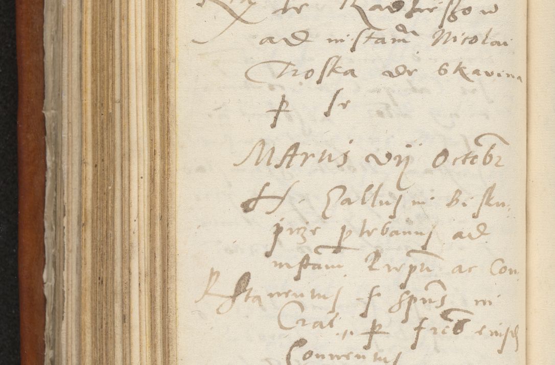 Zdjęcie nr 369 dla obiektu archiwalnego: Acta constitucionum coram reverendo patre domino Paulo Crassowski Warschoviensi et Omnium Sanctorum in Cracovia praeposito et officiali generali Craccoviensi ad annum Domini 1545, a die et mense infrascriptis foeliciter continuantur