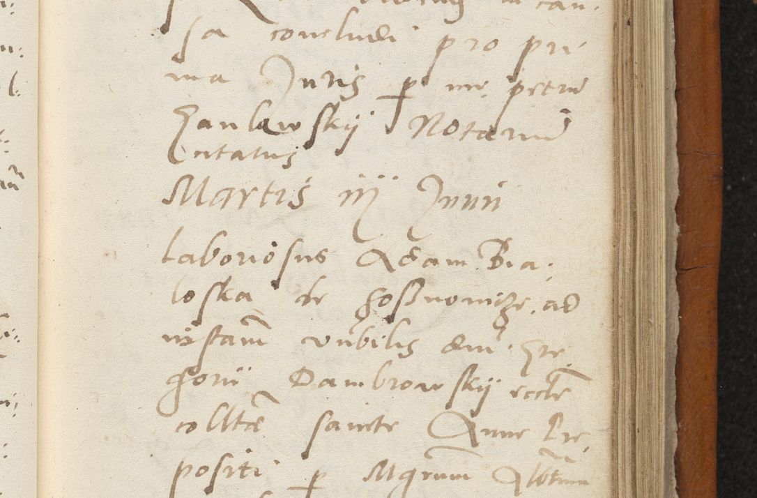 Zdjęcie nr 360 dla obiektu archiwalnego: Acta constitucionum coram reverendo patre domino Paulo Crassowski Warschoviensi et Omnium Sanctorum in Cracovia praeposito et officiali generali Craccoviensi ad annum Domini 1545, a die et mense infrascriptis foeliciter continuantur