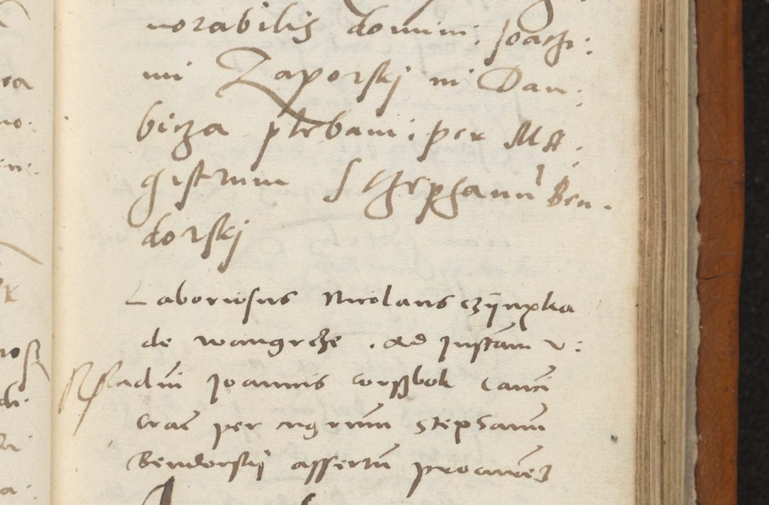 Zdjęcie nr 344 dla obiektu archiwalnego: Acta constitucionum coram reverendo patre domino Paulo Crassowski Warschoviensi et Omnium Sanctorum in Cracovia praeposito et officiali generali Craccoviensi ad annum Domini 1545, a die et mense infrascriptis foeliciter continuantur