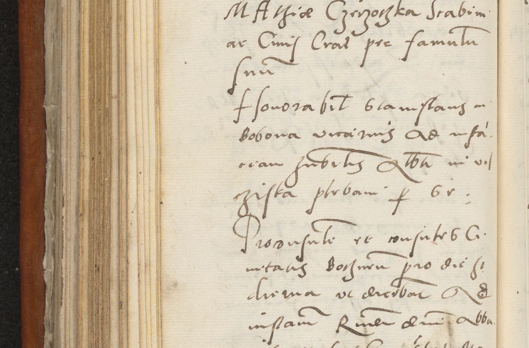 Zdjęcie nr 345 dla obiektu archiwalnego: Acta constitucionum coram reverendo patre domino Paulo Crassowski Warschoviensi et Omnium Sanctorum in Cracovia praeposito et officiali generali Craccoviensi ad annum Domini 1545, a die et mense infrascriptis foeliciter continuantur