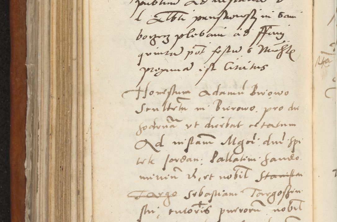 Zdjęcie nr 335 dla obiektu archiwalnego: Acta constitucionum coram reverendo patre domino Paulo Crassowski Warschoviensi et Omnium Sanctorum in Cracovia praeposito et officiali generali Craccoviensi ad annum Domini 1545, a die et mense infrascriptis foeliciter continuantur