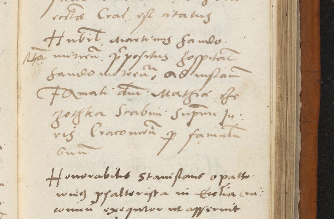 Zdjęcie nr 336 dla obiektu archiwalnego: Acta constitucionum coram reverendo patre domino Paulo Crassowski Warschoviensi et Omnium Sanctorum in Cracovia praeposito et officiali generali Craccoviensi ad annum Domini 1545, a die et mense infrascriptis foeliciter continuantur