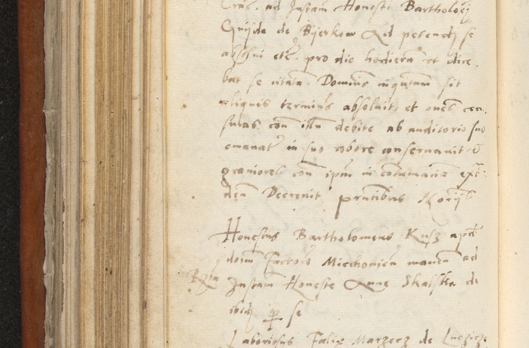 Zdjęcie nr 325 dla obiektu archiwalnego: Acta constitucionum coram reverendo patre domino Paulo Crassowski Warschoviensi et Omnium Sanctorum in Cracovia praeposito et officiali generali Craccoviensi ad annum Domini 1545, a die et mense infrascriptis foeliciter continuantur