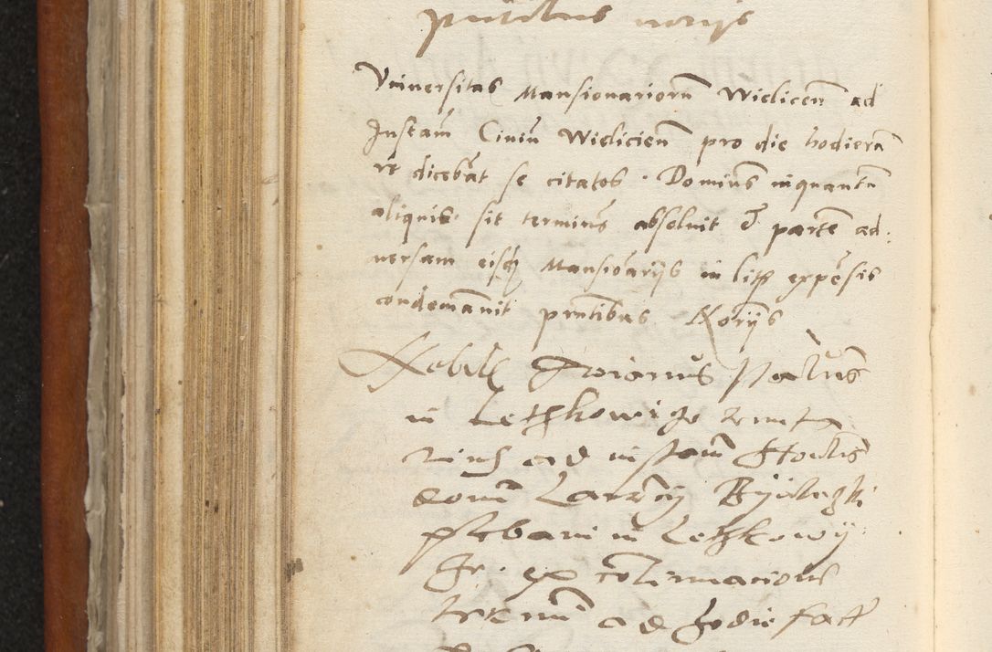 Zdjęcie nr 317 dla obiektu archiwalnego: Acta constitucionum coram reverendo patre domino Paulo Crassowski Warschoviensi et Omnium Sanctorum in Cracovia praeposito et officiali generali Craccoviensi ad annum Domini 1545, a die et mense infrascriptis foeliciter continuantur