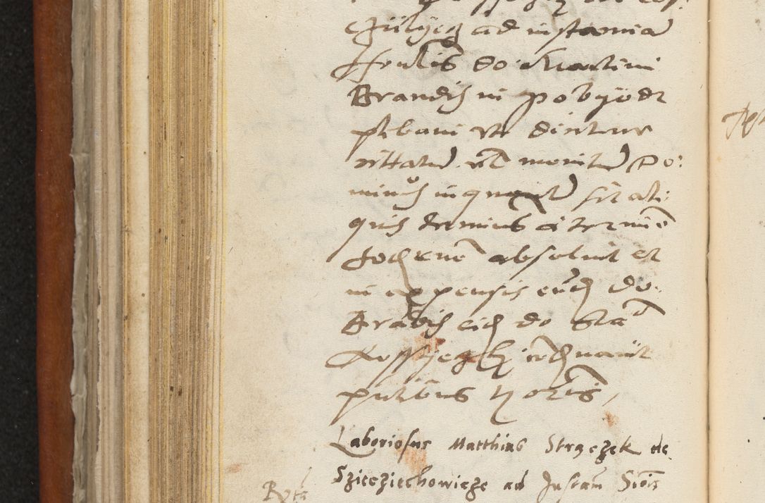 Zdjęcie nr 291 dla obiektu archiwalnego: Acta constitucionum coram reverendo patre domino Paulo Crassowski Warschoviensi et Omnium Sanctorum in Cracovia praeposito et officiali generali Craccoviensi ad annum Domini 1545, a die et mense infrascriptis foeliciter continuantur
