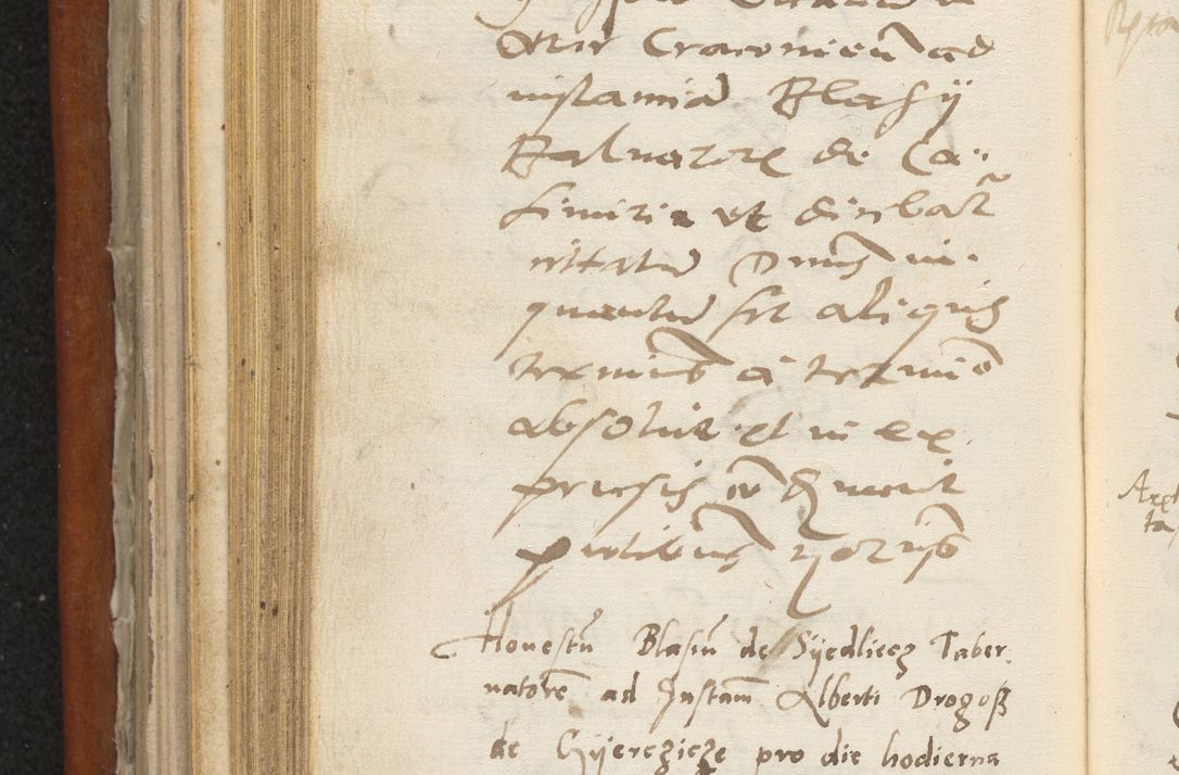 Zdjęcie nr 285 dla obiektu archiwalnego: Acta constitucionum coram reverendo patre domino Paulo Crassowski Warschoviensi et Omnium Sanctorum in Cracovia praeposito et officiali generali Craccoviensi ad annum Domini 1545, a die et mense infrascriptis foeliciter continuantur