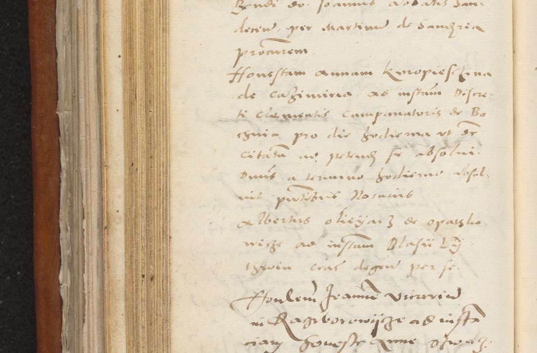 Zdjęcie nr 267 dla obiektu archiwalnego: Acta constitucionum coram reverendo patre domino Paulo Crassowski Warschoviensi et Omnium Sanctorum in Cracovia praeposito et officiali generali Craccoviensi ad annum Domini 1545, a die et mense infrascriptis foeliciter continuantur