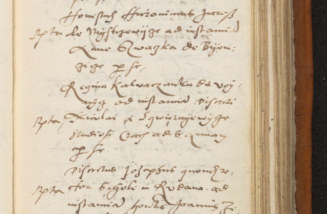 Zdjęcie nr 268 dla obiektu archiwalnego: Acta constitucionum coram reverendo patre domino Paulo Crassowski Warschoviensi et Omnium Sanctorum in Cracovia praeposito et officiali generali Craccoviensi ad annum Domini 1545, a die et mense infrascriptis foeliciter continuantur