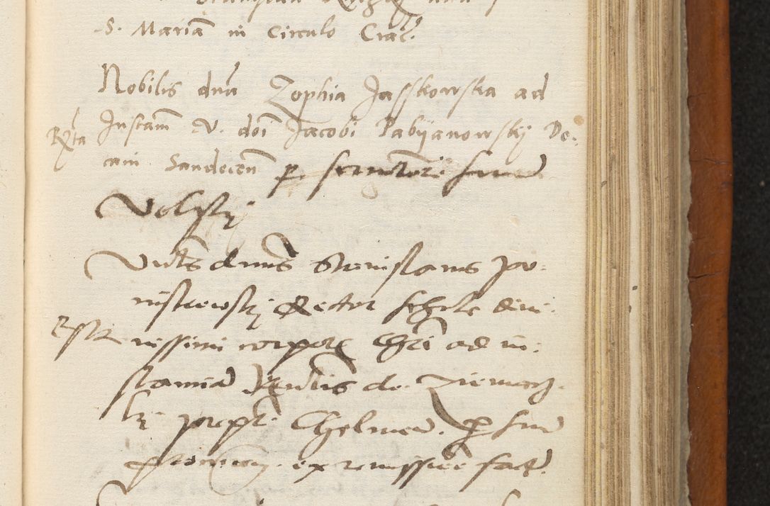 Zdjęcie nr 266 dla obiektu archiwalnego: Acta constitucionum coram reverendo patre domino Paulo Crassowski Warschoviensi et Omnium Sanctorum in Cracovia praeposito et officiali generali Craccoviensi ad annum Domini 1545, a die et mense infrascriptis foeliciter continuantur