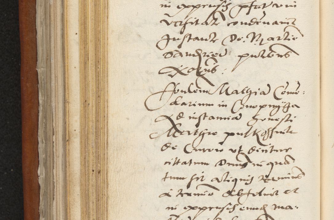 Zdjęcie nr 259 dla obiektu archiwalnego: Acta constitucionum coram reverendo patre domino Paulo Crassowski Warschoviensi et Omnium Sanctorum in Cracovia praeposito et officiali generali Craccoviensi ad annum Domini 1545, a die et mense infrascriptis foeliciter continuantur