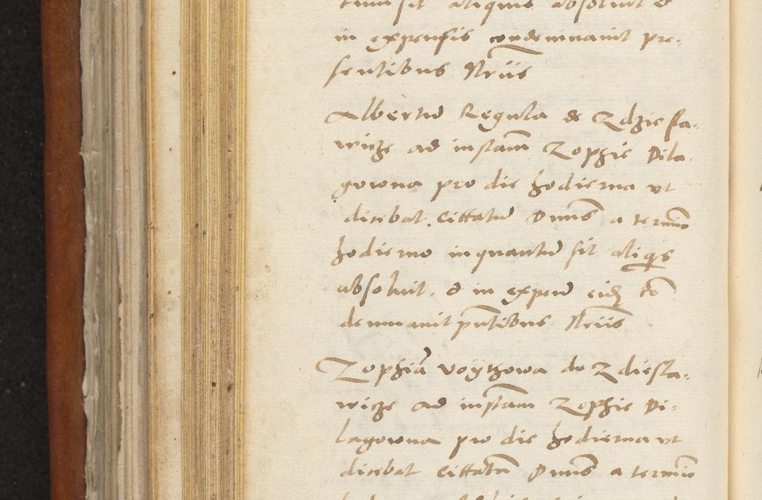 Zdjęcie nr 255 dla obiektu archiwalnego: Acta constitucionum coram reverendo patre domino Paulo Crassowski Warschoviensi et Omnium Sanctorum in Cracovia praeposito et officiali generali Craccoviensi ad annum Domini 1545, a die et mense infrascriptis foeliciter continuantur