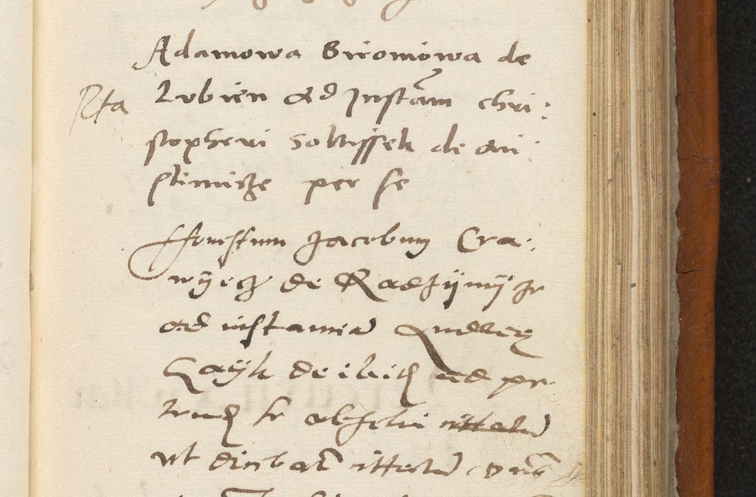 Zdjęcie nr 252 dla obiektu archiwalnego: Acta constitucionum coram reverendo patre domino Paulo Crassowski Warschoviensi et Omnium Sanctorum in Cracovia praeposito et officiali generali Craccoviensi ad annum Domini 1545, a die et mense infrascriptis foeliciter continuantur