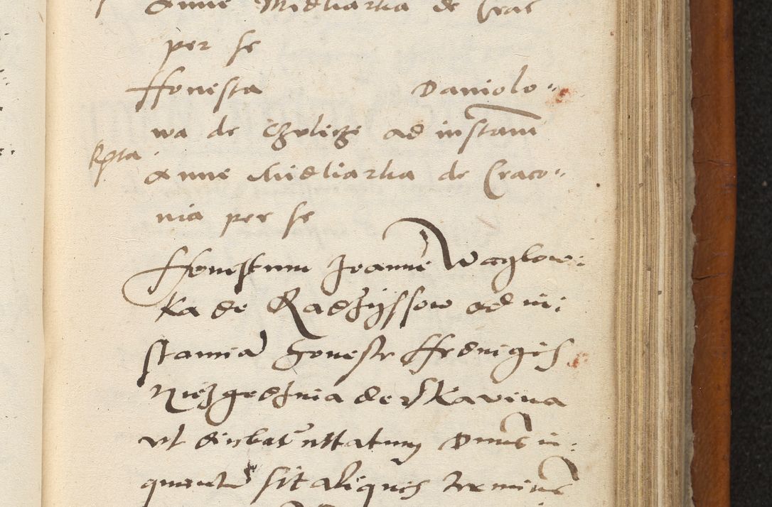 Zdjęcie nr 240 dla obiektu archiwalnego: Acta constitucionum coram reverendo patre domino Paulo Crassowski Warschoviensi et Omnium Sanctorum in Cracovia praeposito et officiali generali Craccoviensi ad annum Domini 1545, a die et mense infrascriptis foeliciter continuantur